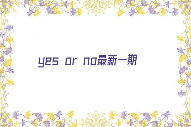 yes or no最新一期剧照